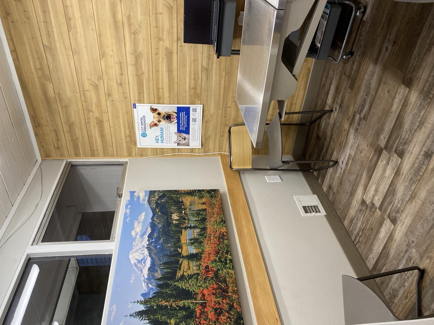 A quiet exam room at The Family Pet