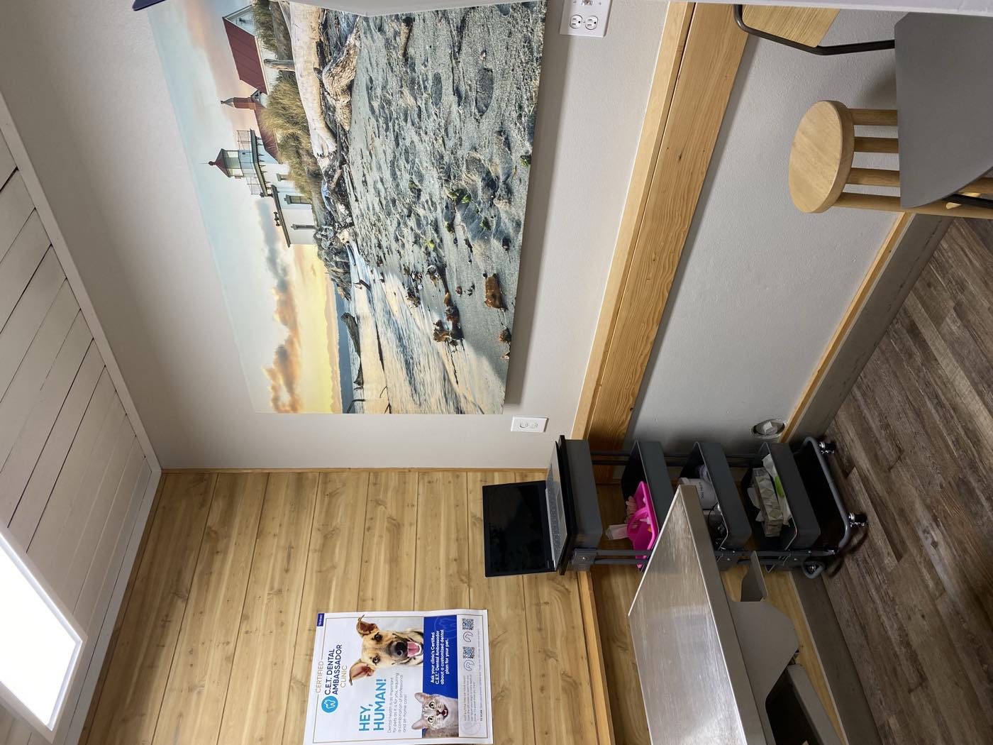 An exam room at The Family Pet